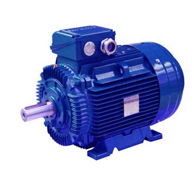 SSWE系列(IE4)<BR>SSWE系列超超高效铸铁电机