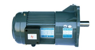 TWT厦门东炜庭齿轮减速电机（立式）