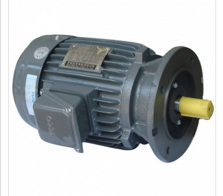 无锡东元普通立式电机AEVF系列 TECO