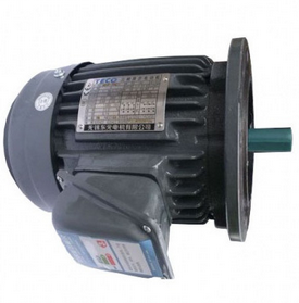 东元普通卧式电机AEEF系列 TECO